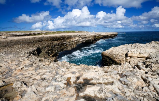 Devil's Bridge, Antigua Top Antigua Private Sightseeing Tours rock adventures body
